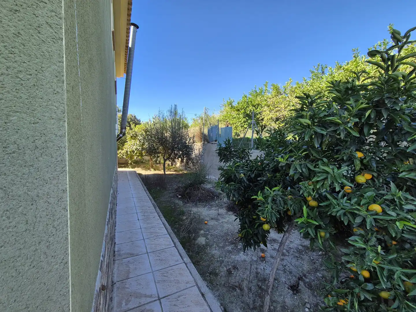 Jardí de Casa o xalet en venda en Albudeite amb Jardí privat, Terrassa i Moblat