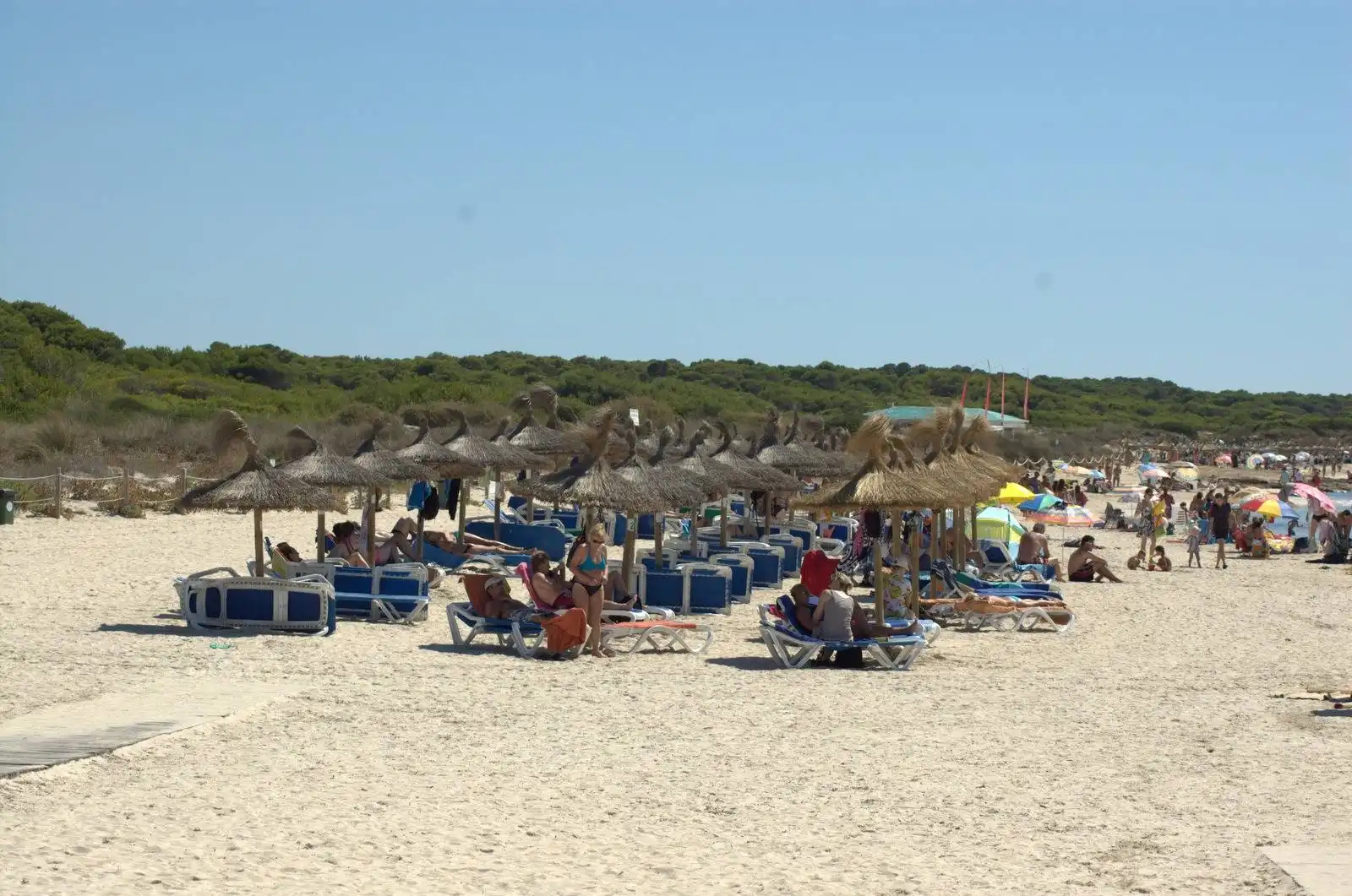 Baixos amb piscina en venda a Sa Ràpita - Ses Covetes, imagen 5