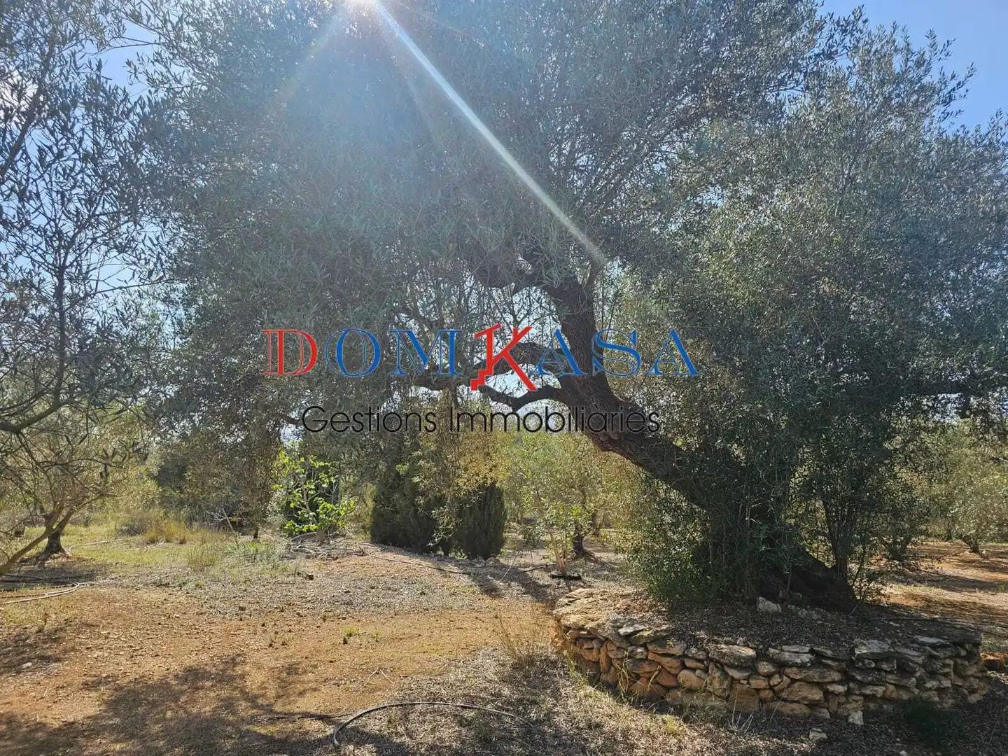 Rural land for sale in Roquetes, imagen 12