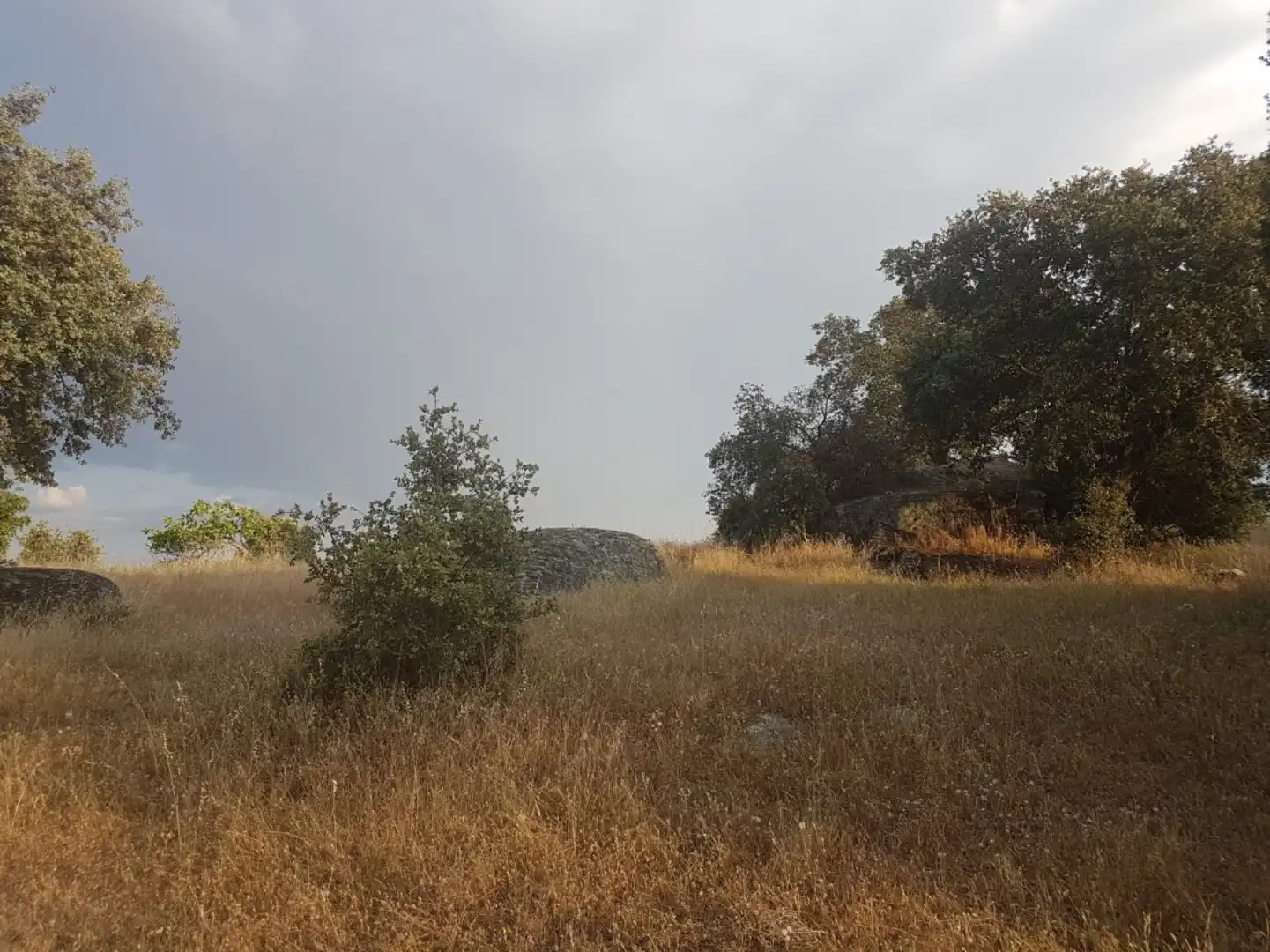 Terreni e lotti in vendita a Esparragalejo, imagen 10