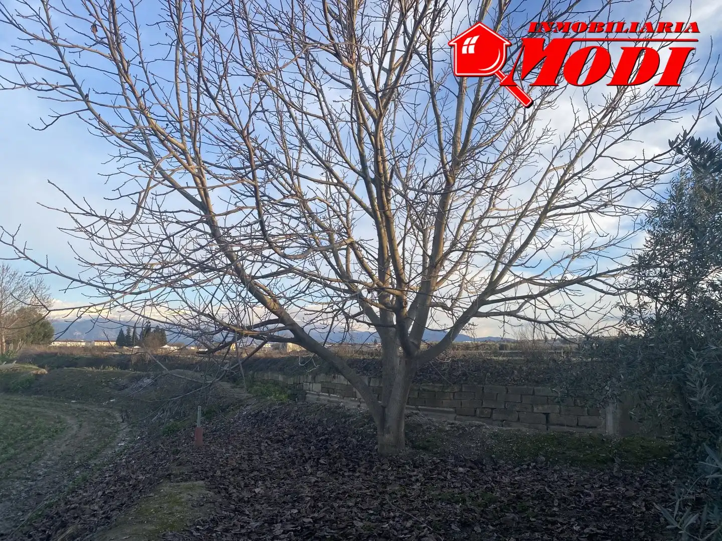 Terrenys i solars en venda a Belicena, imagen 15