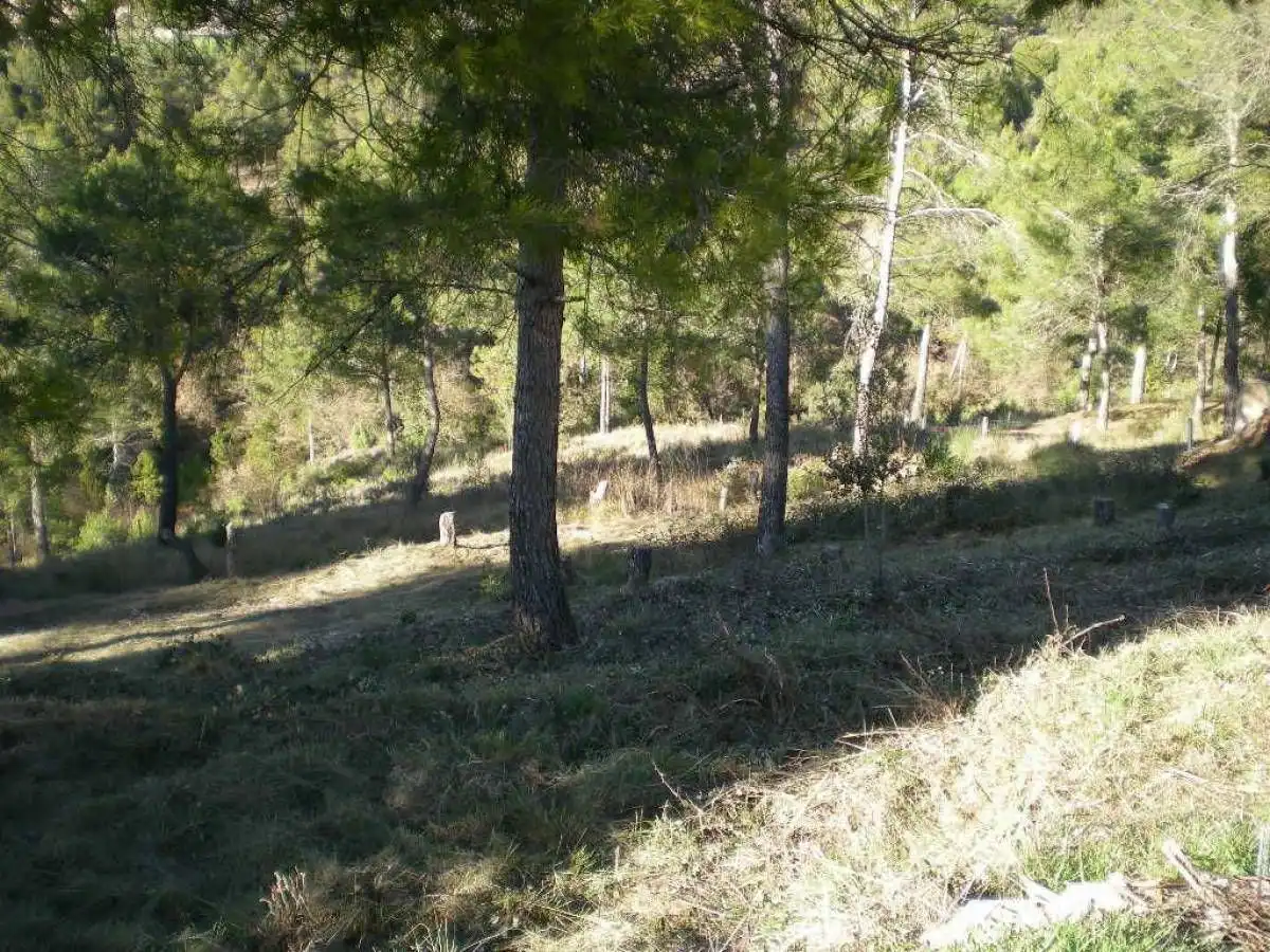 Terrenys i solars en venda a Castellnou de Bages, imagen 5