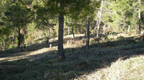 Solar en venta, immagine 5