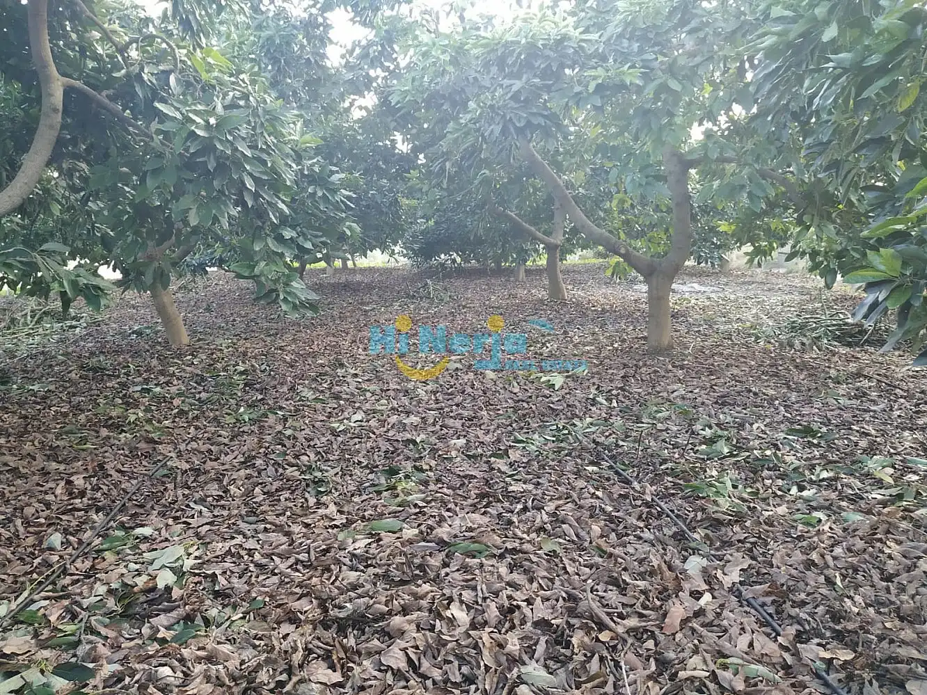 Terreni e lotti in vendita a Centro, imagen 7