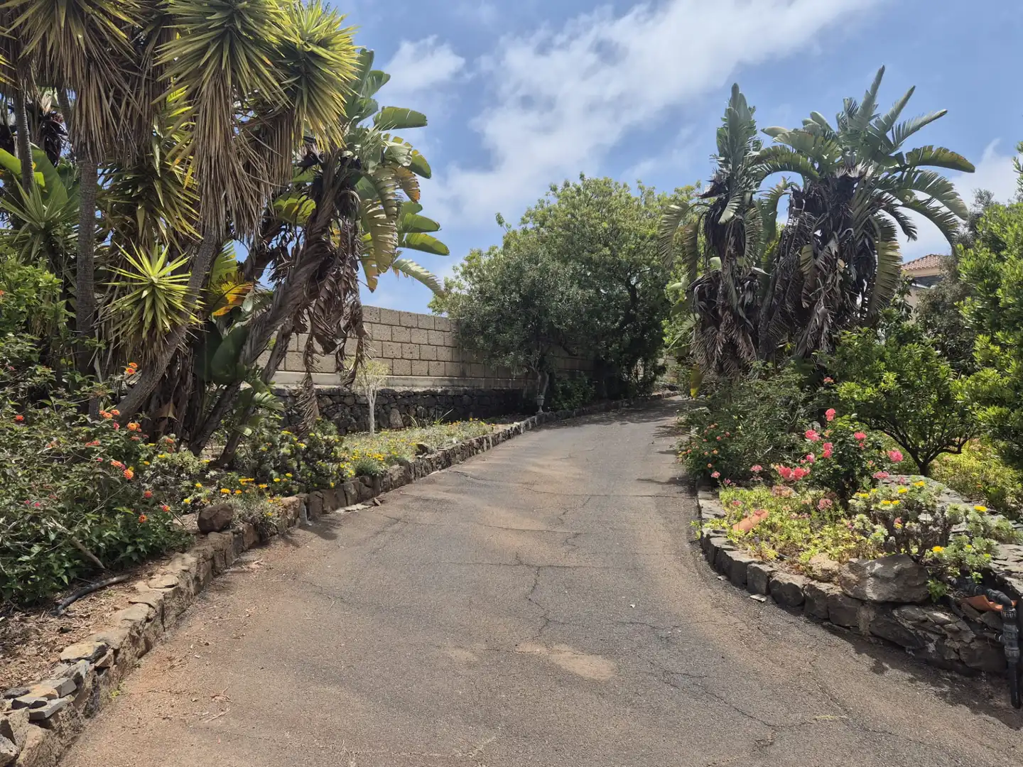 Vista exterior de Casa o chalet en venta en Vilaflor de Chasna con Jardín privado, Terraza y Piscina