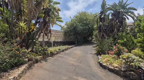 Foto 4 de Casa o chalet en venta en Camino de Jama, 17, Vilaflor de Chasna, Santa Cruz de Tenerife
