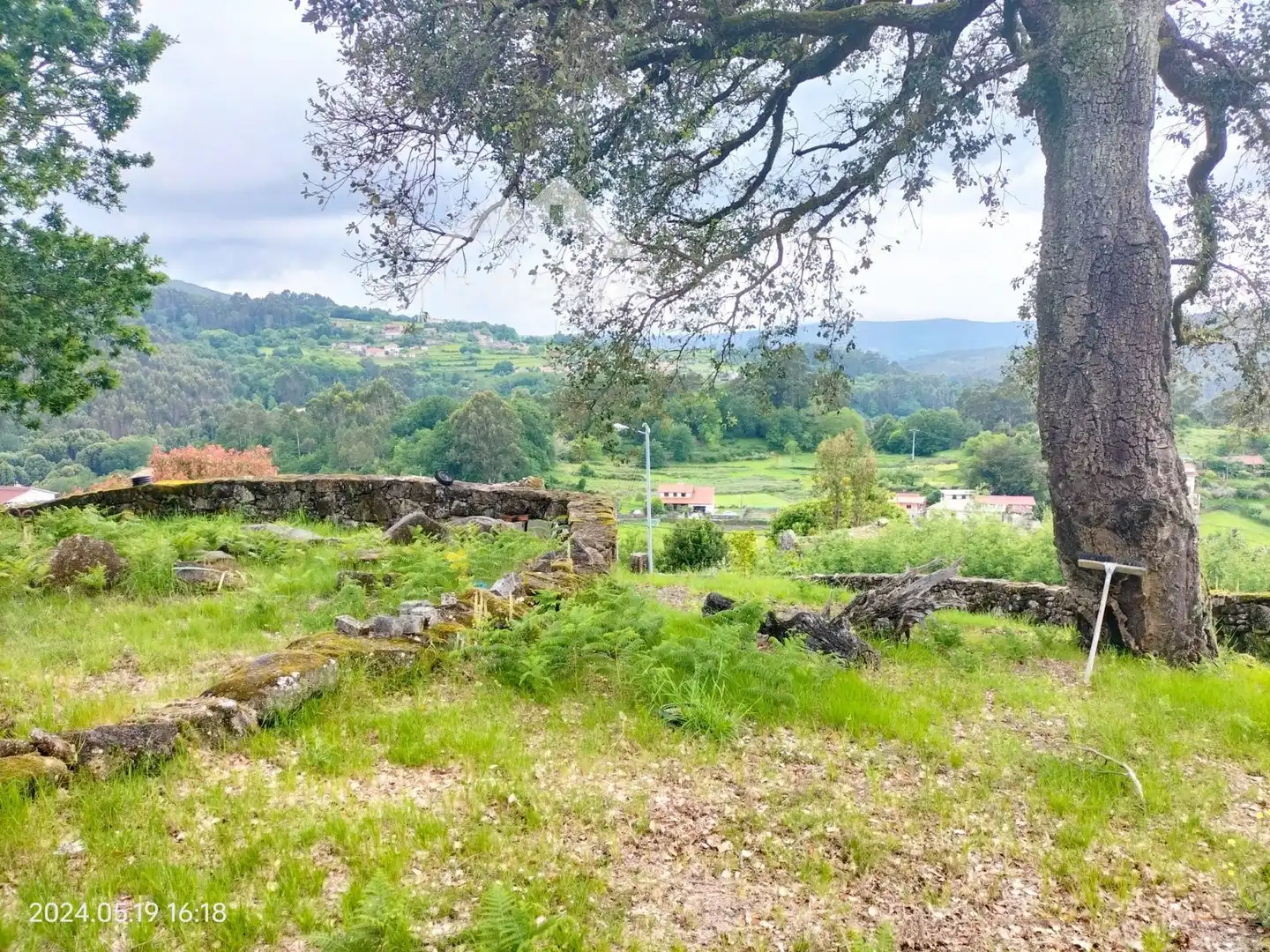 Terrenys i solars en venda a Cotobade