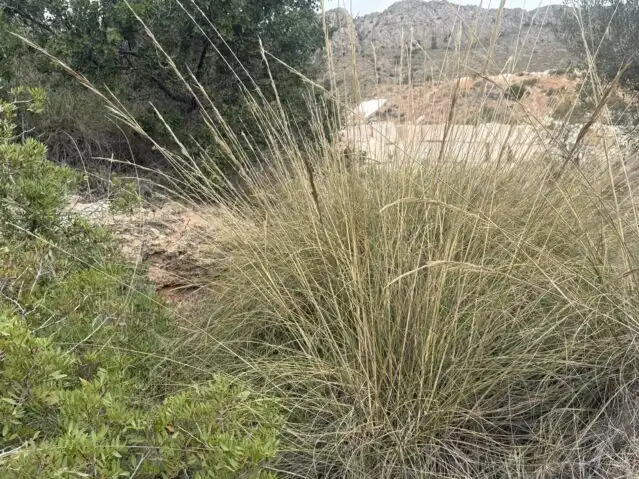 Terreny residencial en venda a La Romana, imagen 18
