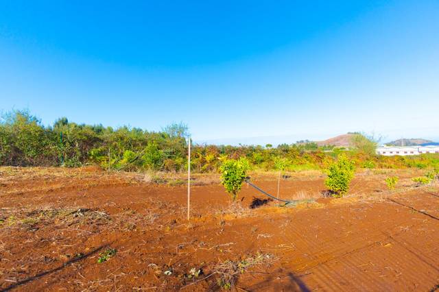 Terreno residencial en Venta en Tacoronte - Los Naranjeros