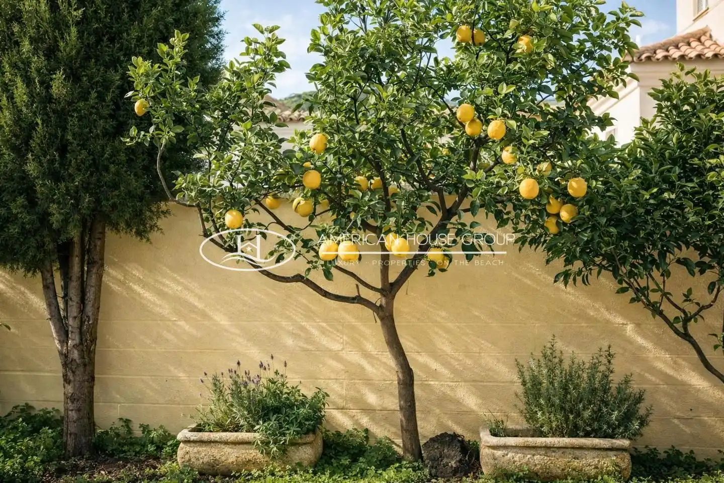 Garden of Houses for sale in Chiclana de la Frontera  with Air Conditioner and Private garden