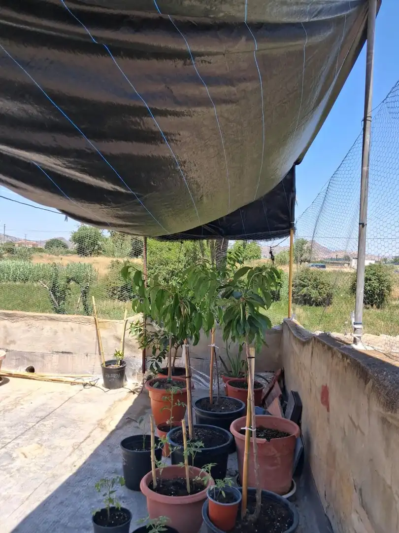 Terrace of Houses for sale in Murcia  with Terrace, Storage room and Furnished