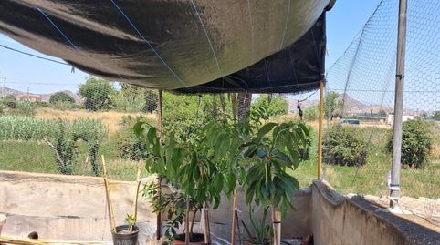 Foto 2 de Casa o xalet en venda a Alquerías, Murcia Capital