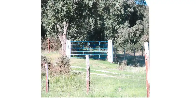 Terreni e lotti in vendita a Marugán, imagen 29