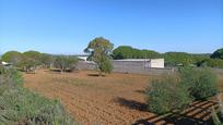 Casa o xalet en venda en Puerto Real amb Aire condicionat i Traster