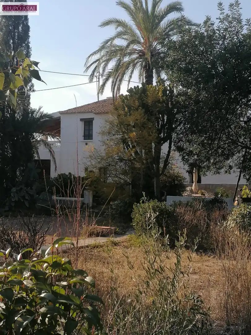 Villa con terrazza in vendita a Calle CLAVARIA-SERRETA T, imagen 9