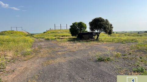 Foto 5 von Fabrikhallen zum Verkauf in Valverde de Leganes, Valverde de Leganés, Badajoz