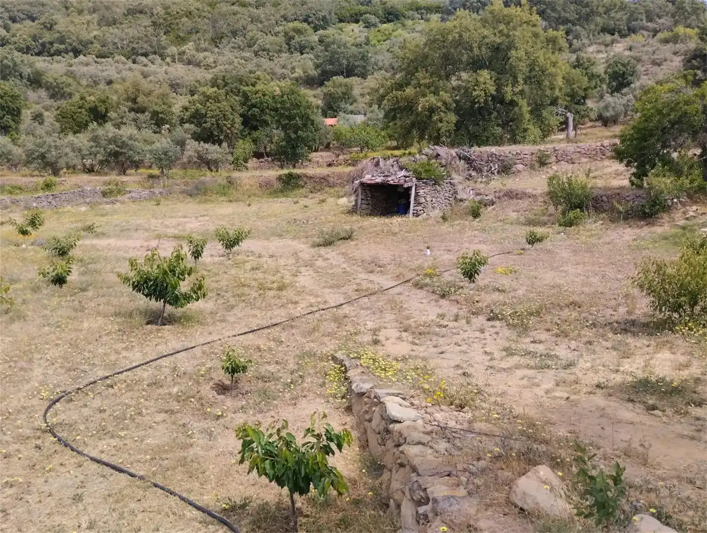 Finca rústica en venta en Pasarón de la Vera