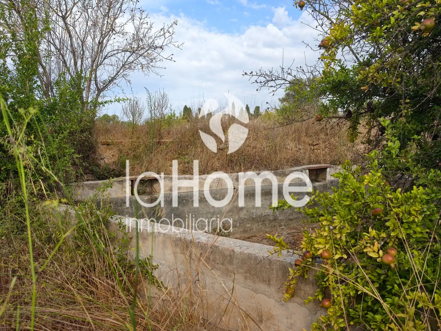 Terreno rústico en venta en CV-3710 164, imagen 5