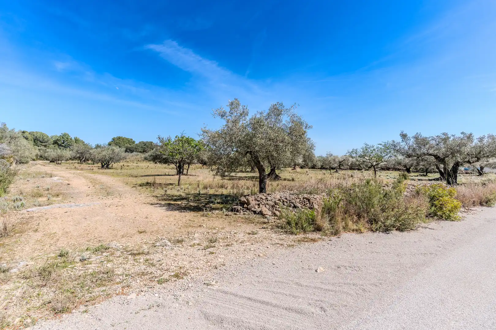 Land for sale in El Perelló