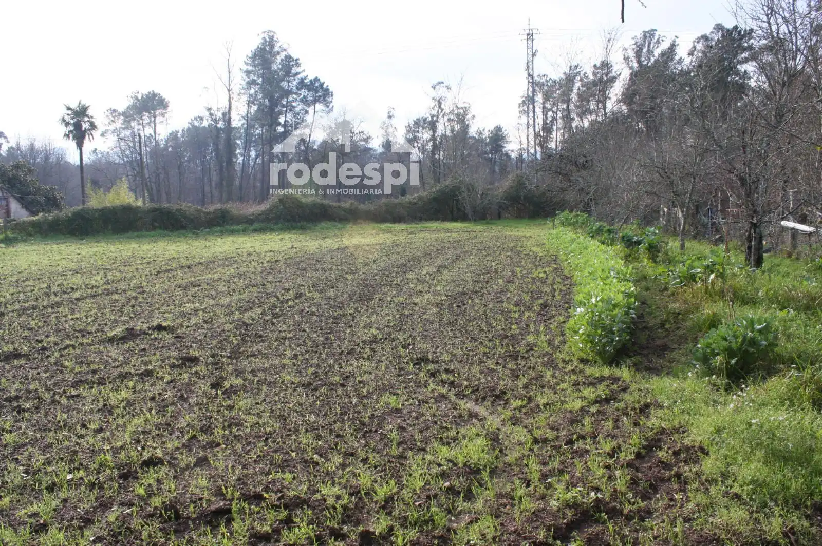 Maison à vendre à Ponteareas, imagen 4