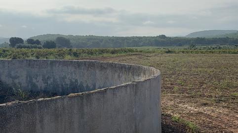 Foto 3 de Finca rústica en venda a L'Arboç, Tarragona