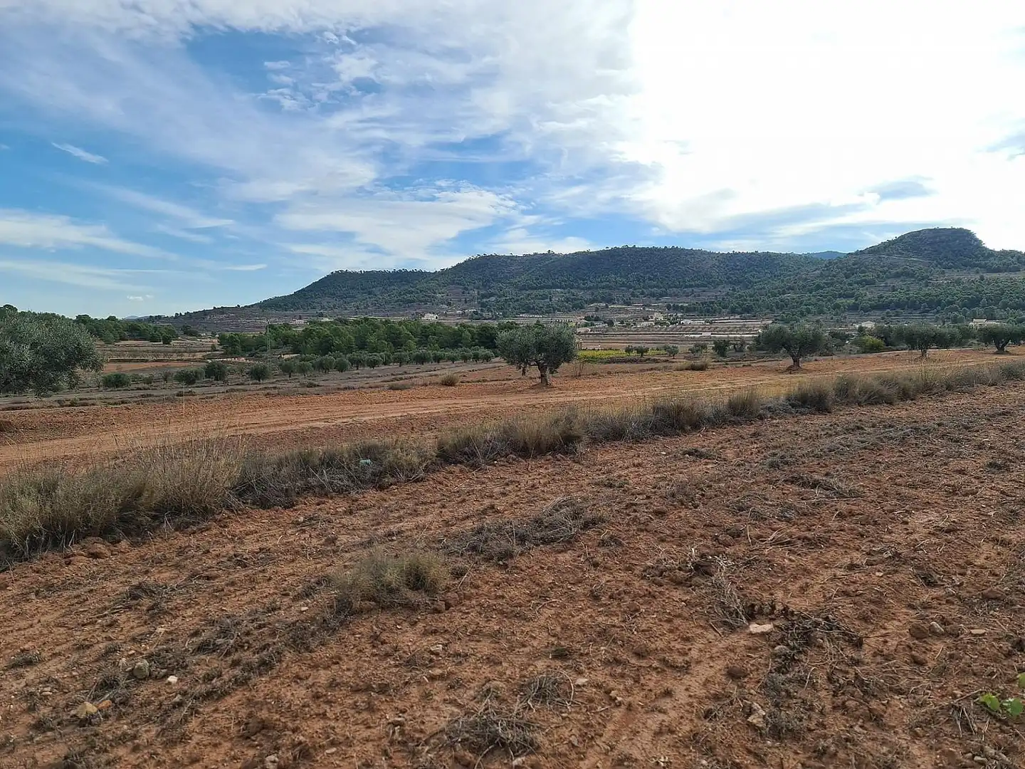 Terreny residencial en venda a El Pinós / Pinoso, imagen 9