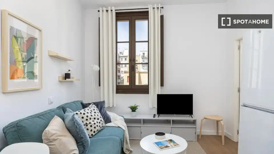 Sala de estar de Piso de alquiler en Barcelona con Aire acondicionado, Calefacción y Amueblado