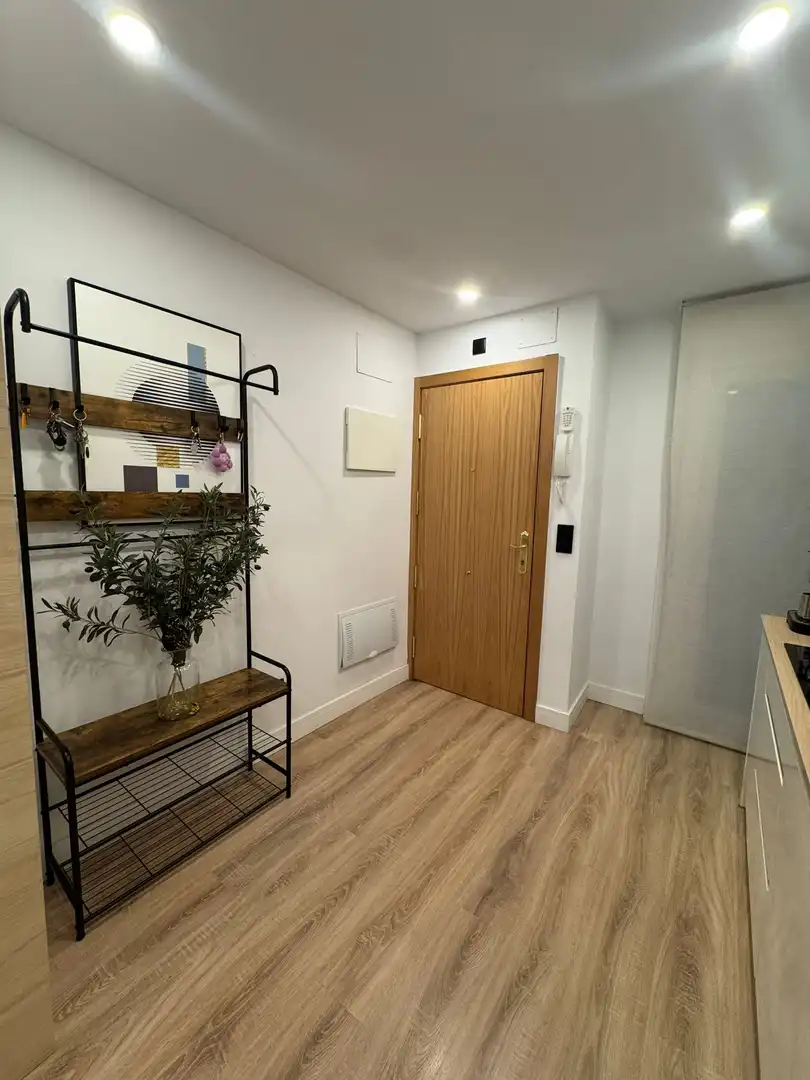 Flat for rent in Madrid  with Private garden, Terrace and Furnished