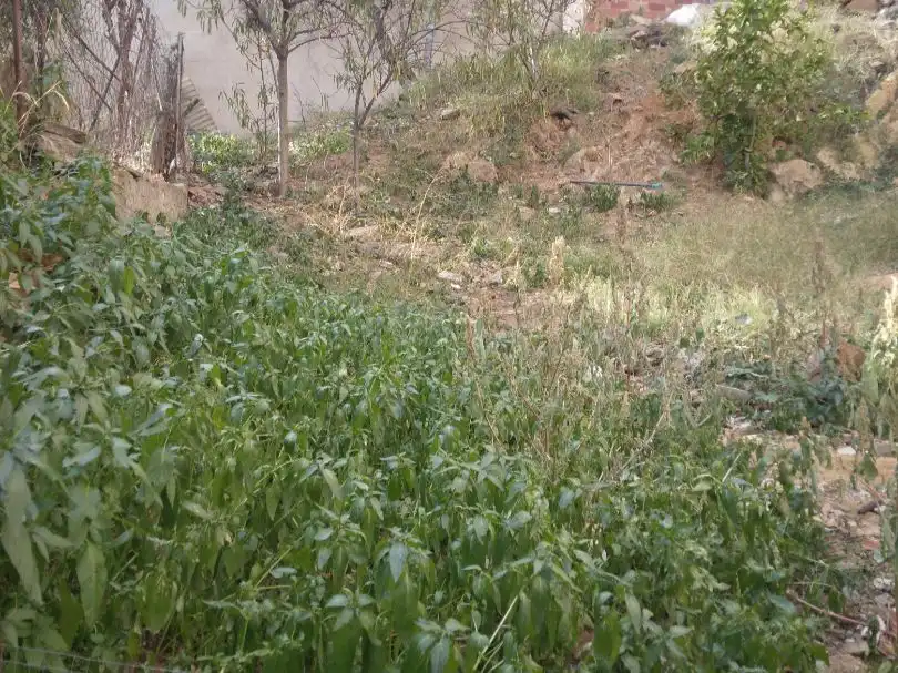 Terreno residenziale in vendita a Briquets 61, imagen 3