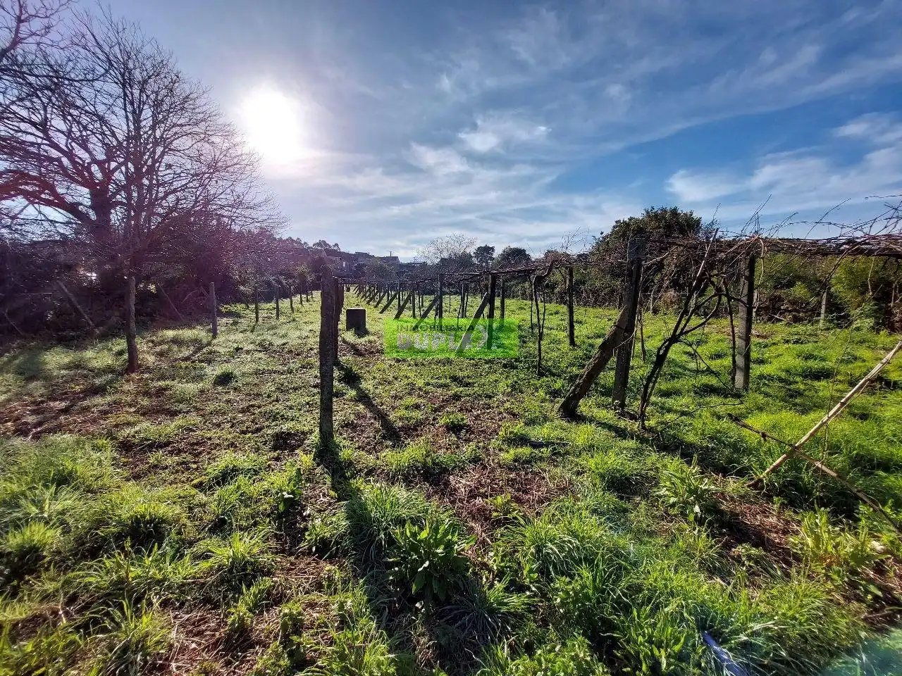 Maison avec jardin à vendre à Zona Fernández Ladreda, imagen 68