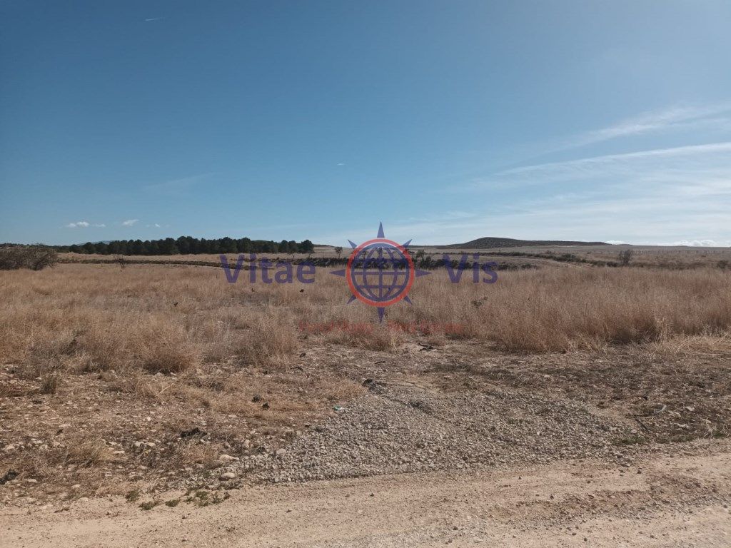 Finca rústica en venda a Calle Petra Gonzalez, -1, La Paca