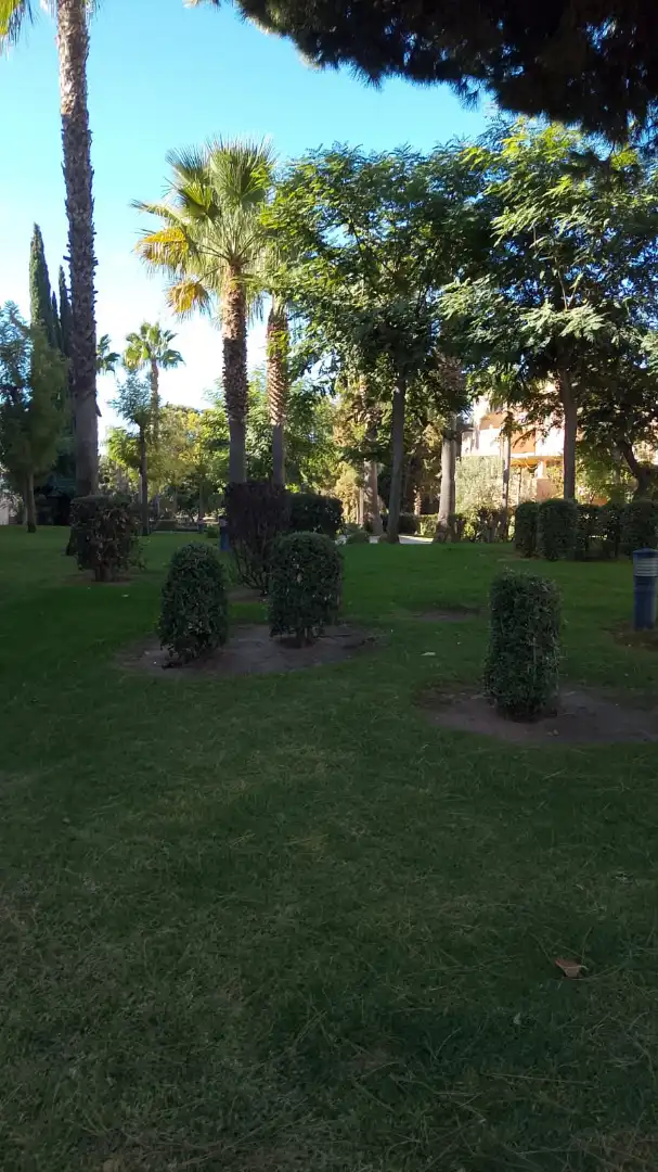 Jardí de Dúplex en venda en Islantilla amb Jardí privat, Terrassa i Traster