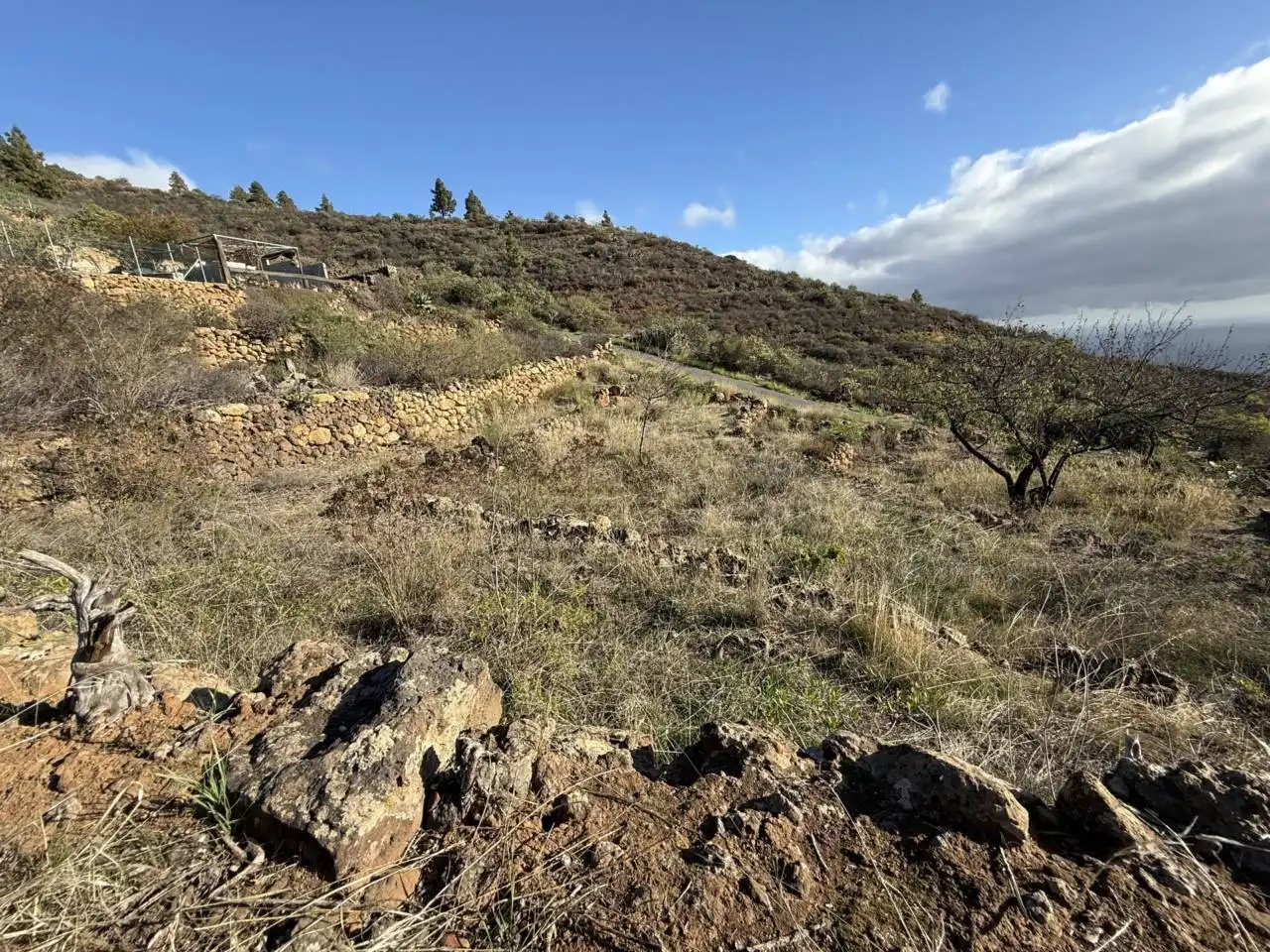 Rural land for sale in Camino Montesinas, imagen 3