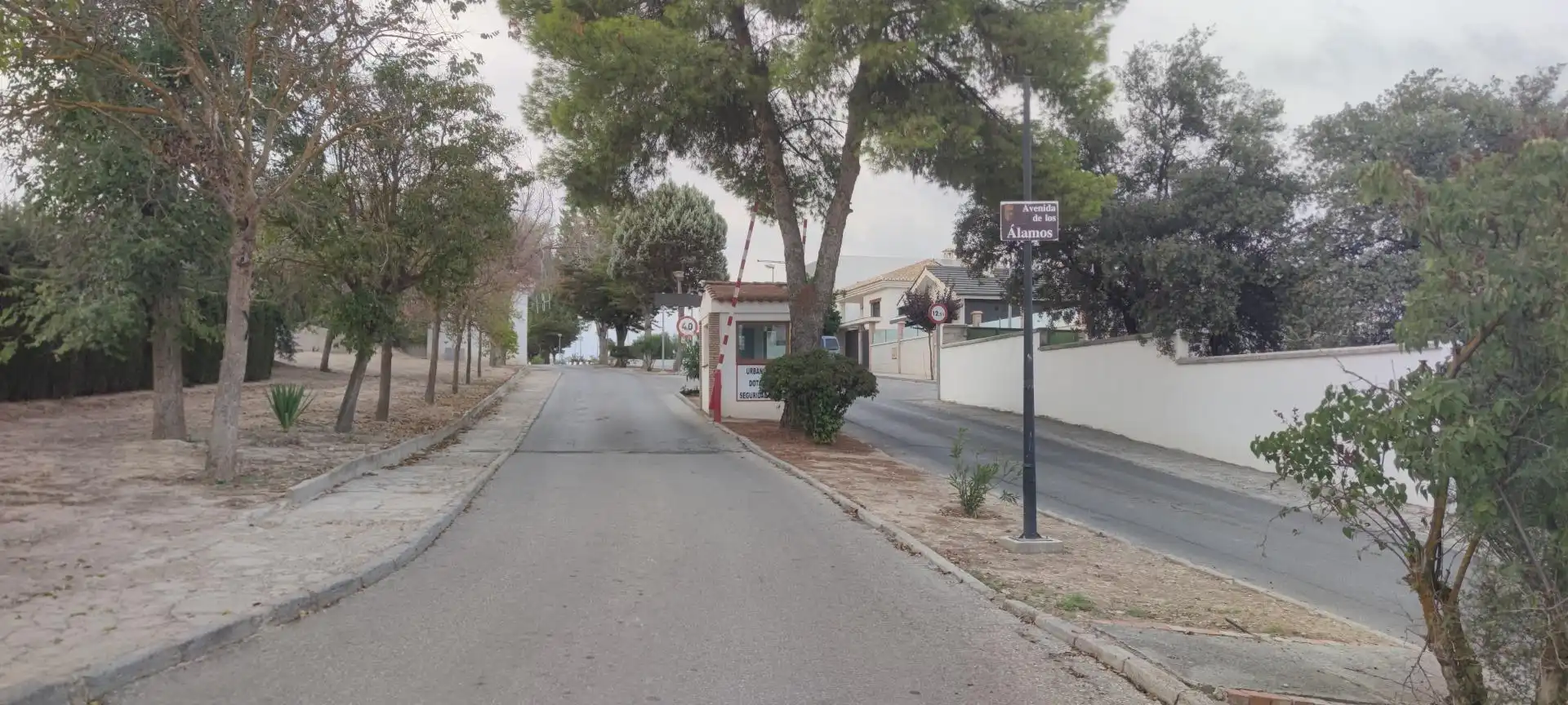 Terreni e lotti in vendita a Calle Calle Venus, 20, imagen 16