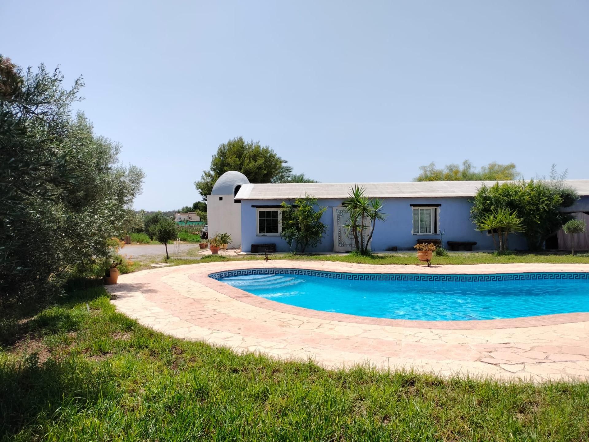 Swimming pool of House or chalet for sale in Elche / Elx