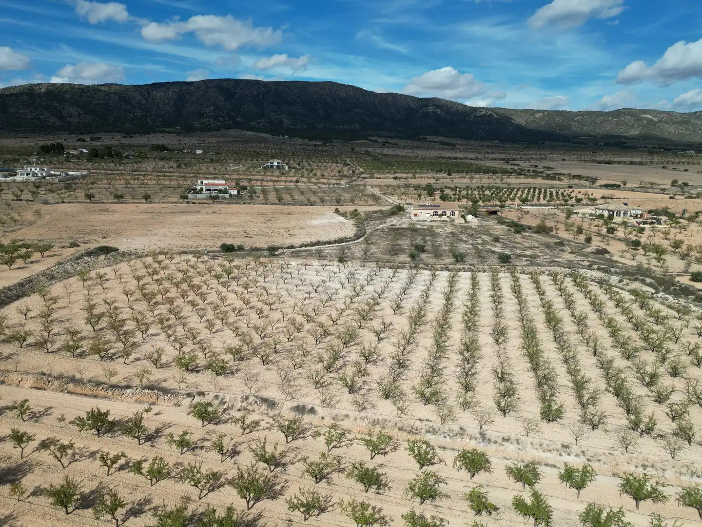Wohnbaugrundstück zum Verkauf in El Pinós / Pinoso, imagen 4