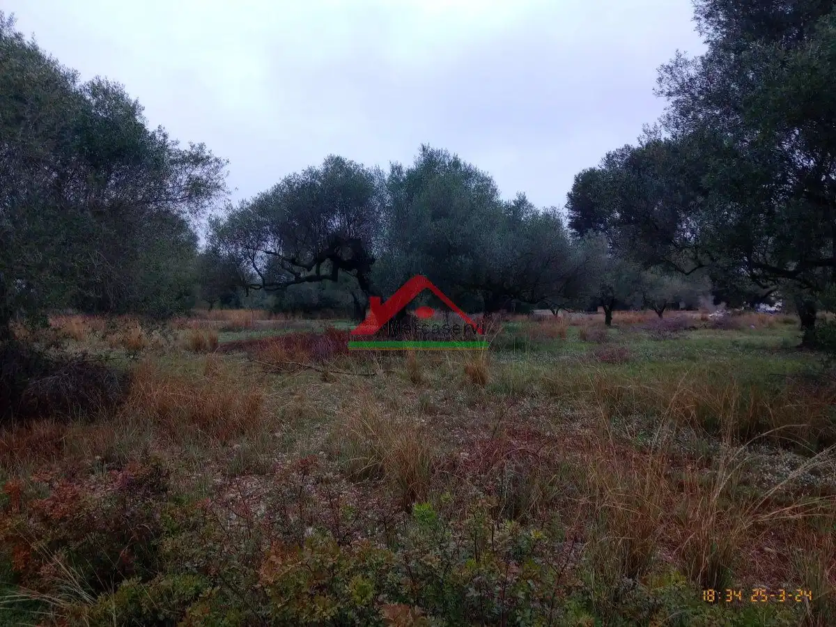 Finca rústica en venta en Vinaròs
