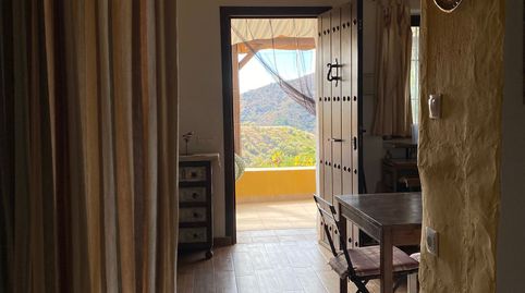 Casa en alquiler de larga temporada en Torrox- Pueblo, Málaga, imatge 4