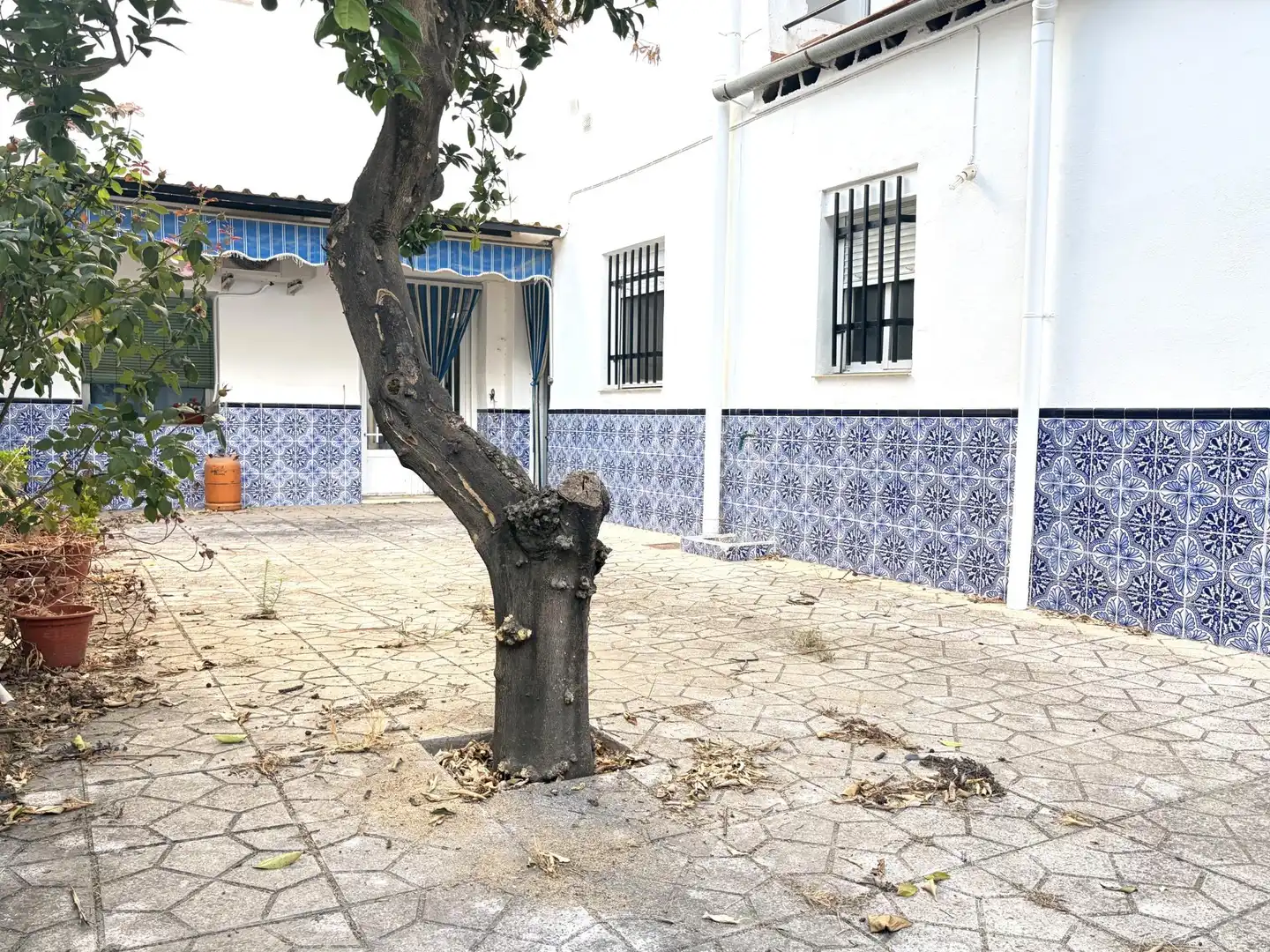 House for sale in Calle DON LLORENTE, imagen 12