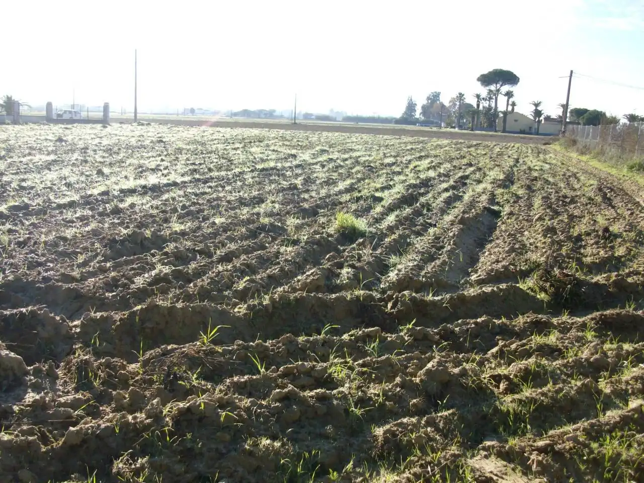 Terreni e lotti in vendita a Villanueva de la Serena, imagen 2