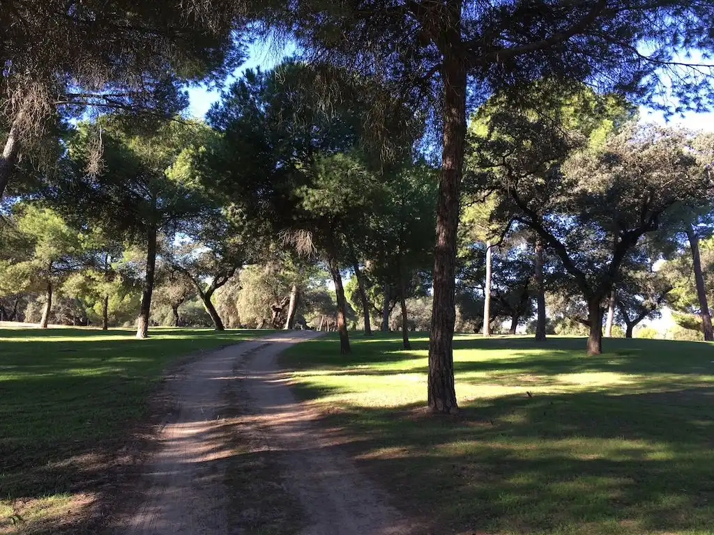 Chalet con jardín en venta en Federico García Lorca 4, imagen 11