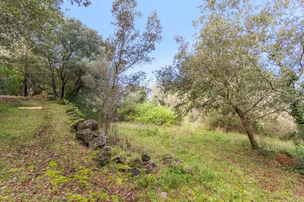 Maison rustique avec jardin à vendre à Pollença Poble, imagen 11