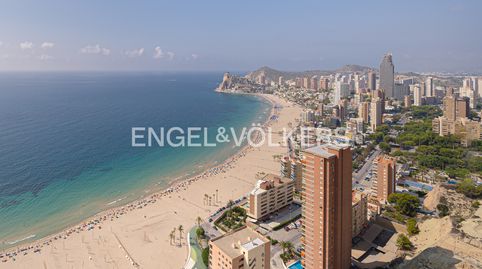 Photo 5 of Attic for sale in Playa Poniente, Benidorm