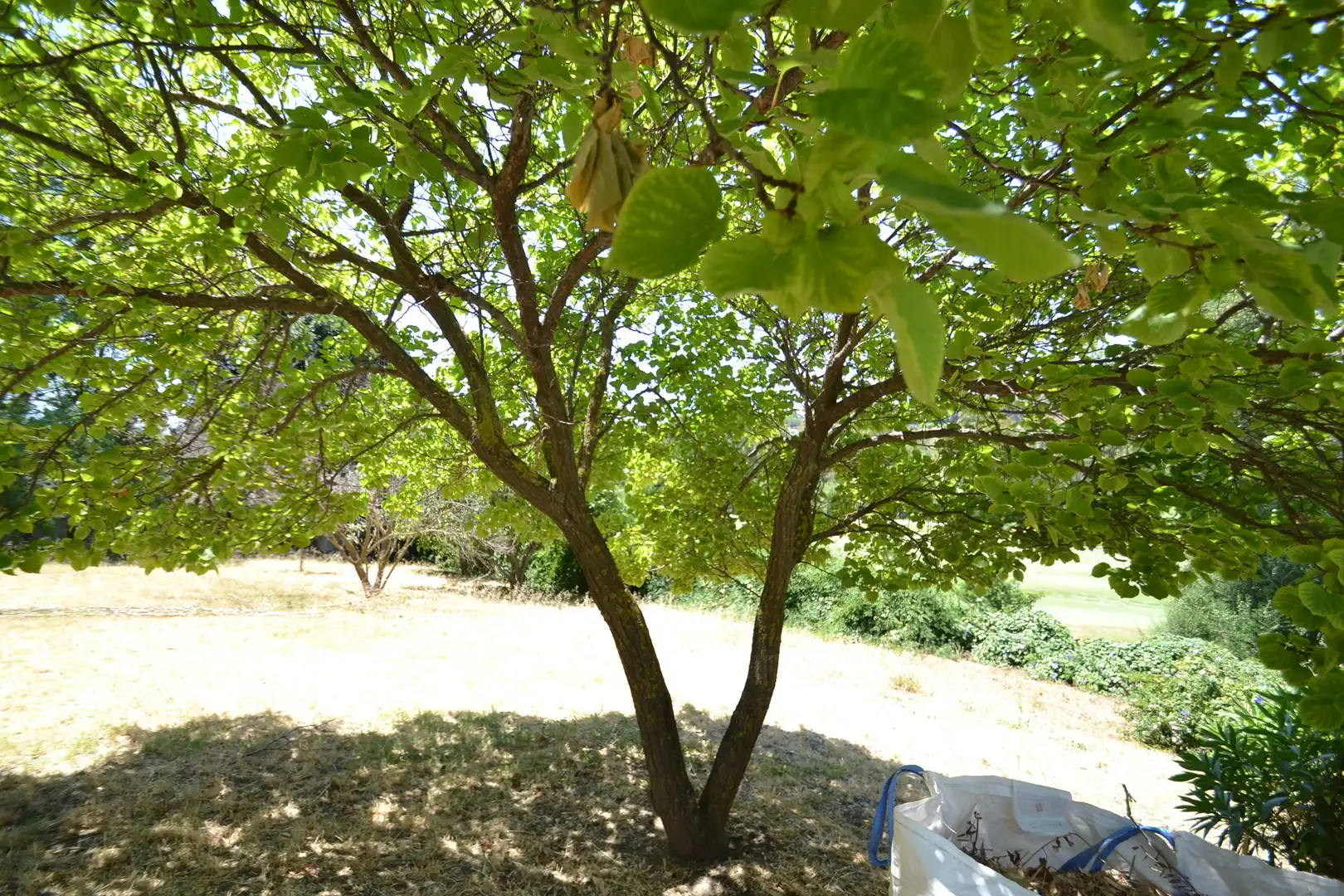 Terreno residenziale in vendita a San Pedro de Alcántara, imagen 53