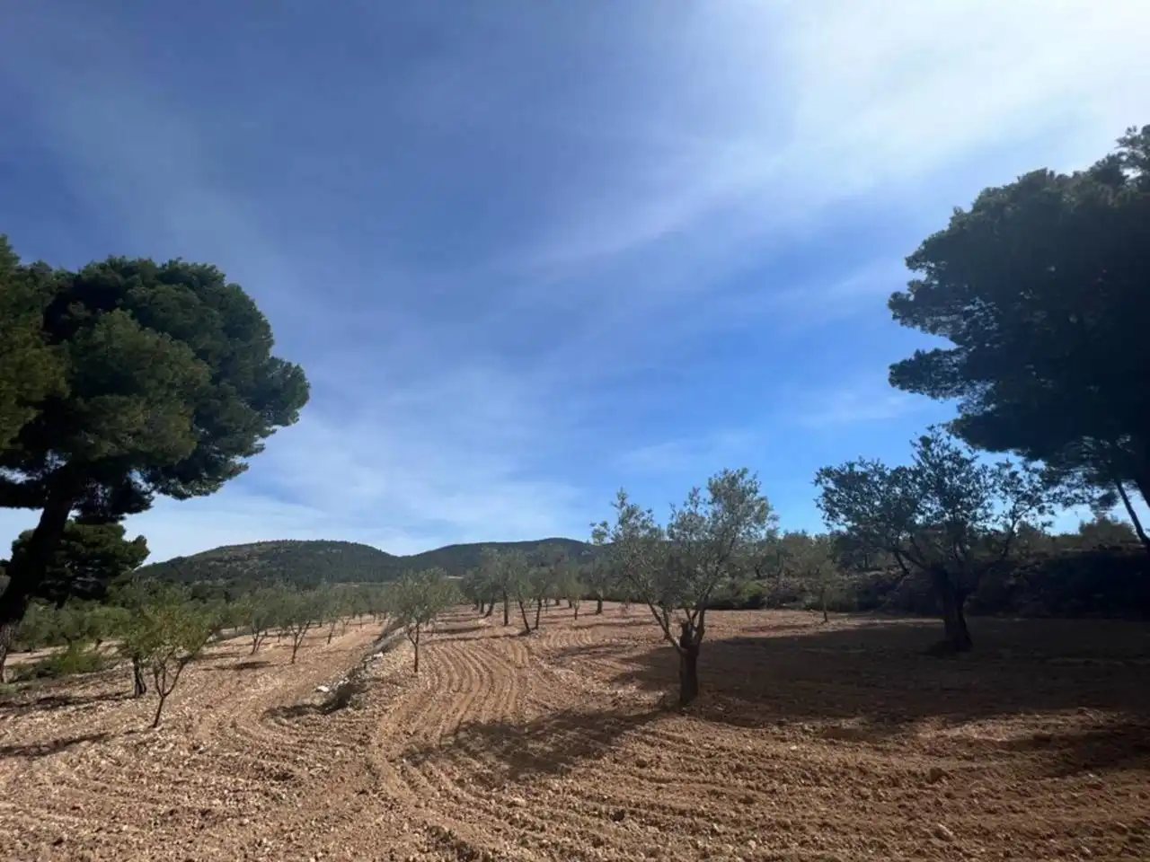 Chalet con jardín en venta en Calle Poligono, imagen 121
