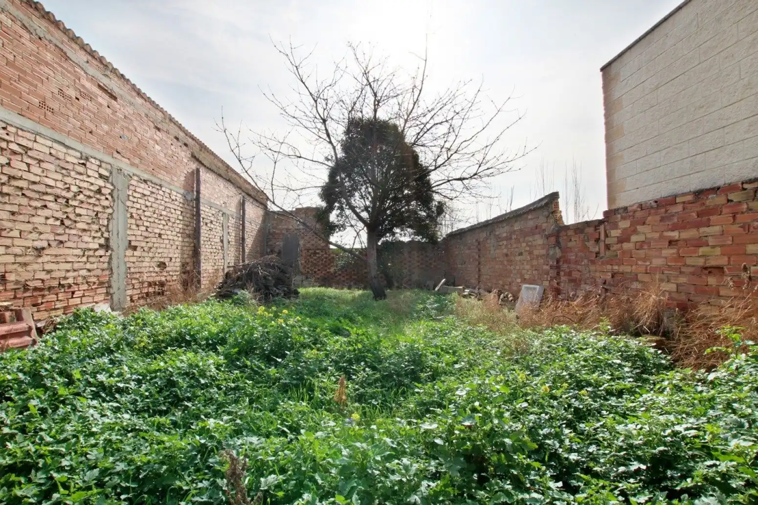 Terreno rustico in vendita a Marcilla - Carretera DE FUNES, imagen 3