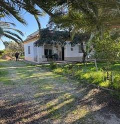 Vista exterior de Finca rústica en venda en Chipiona amb Calefacció, Terrassa i Traster