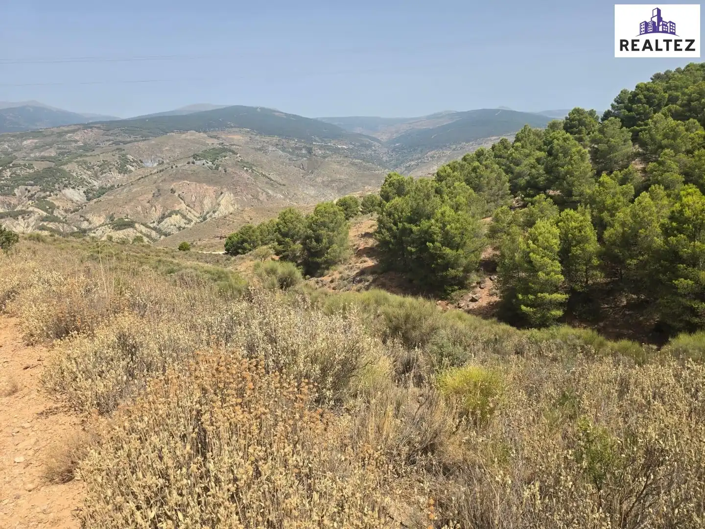 Terrain rustique à vendre à Alcolea, imagen 3
