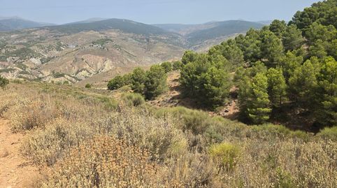 Finca rústica en venta en Alcolea vistas panorámicas en plena Alpujarra Almeriense, immagine 3