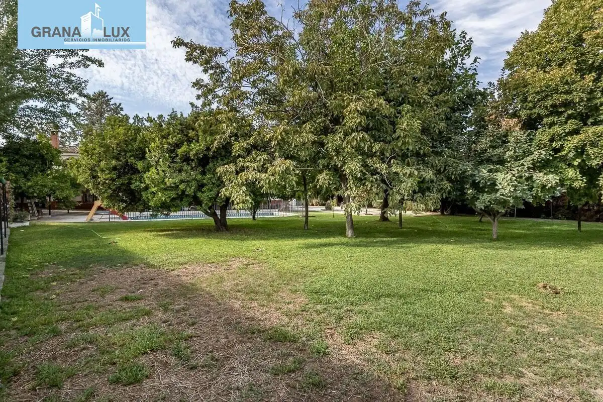 Casa con piscina en venta en Calle del Caño el Palo, imagen 8